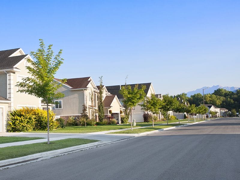 quiet street in suburb neighborhood